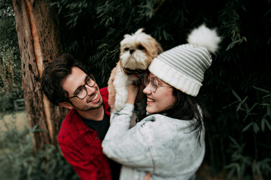 Sustainable Pet Toys: A Smart Choice for You and Your Pet