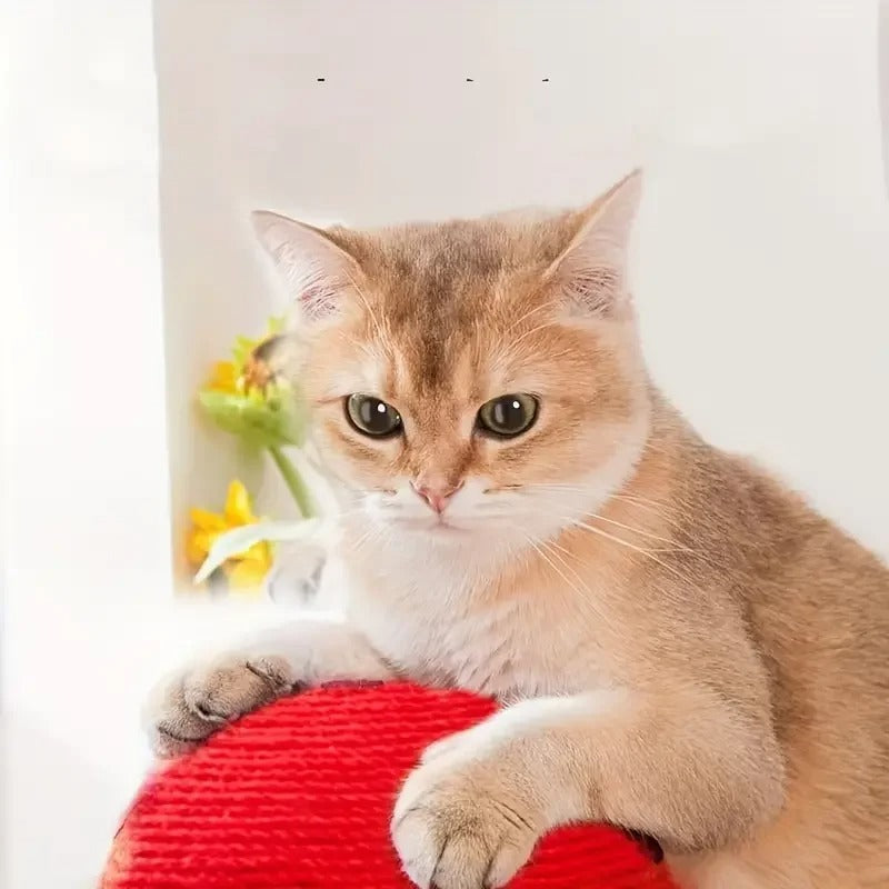 Four Seasons Cat Window Bed & Mushroom Cat