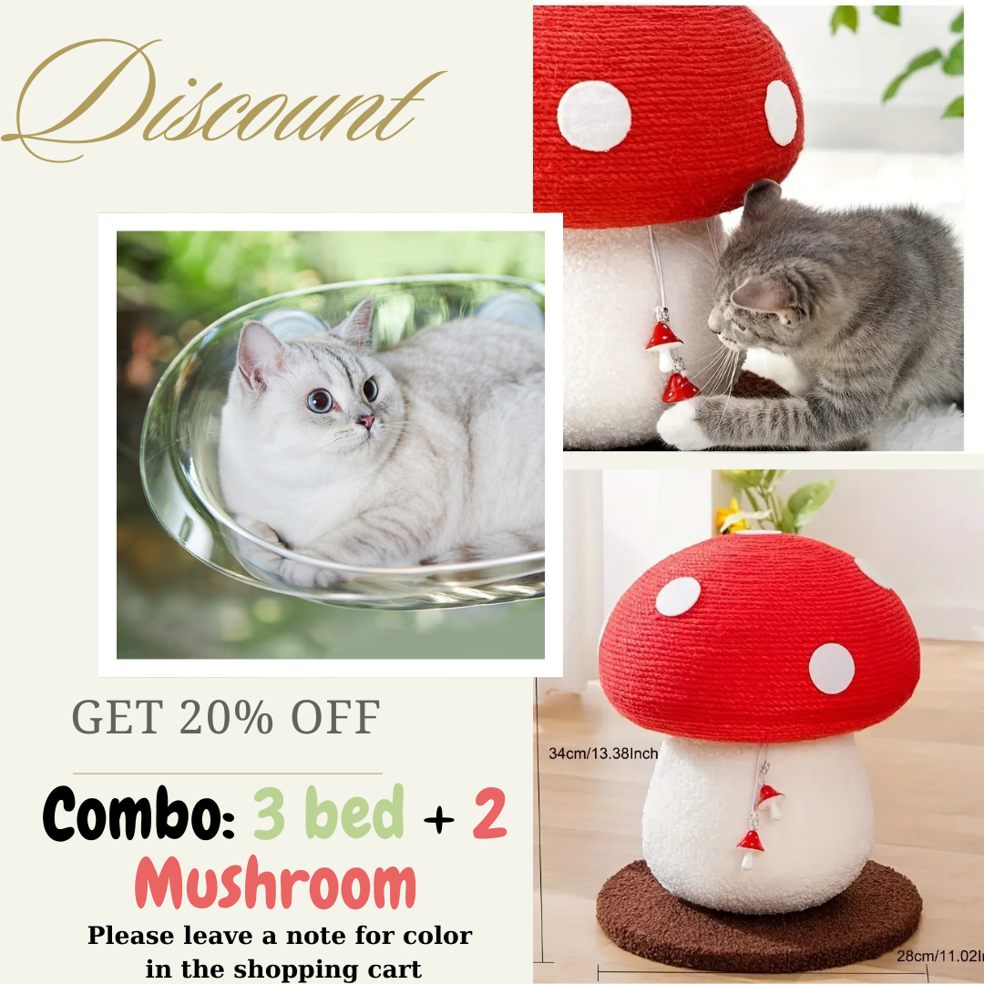 Four Seasons Cat Window Bed & Mushroom Cat