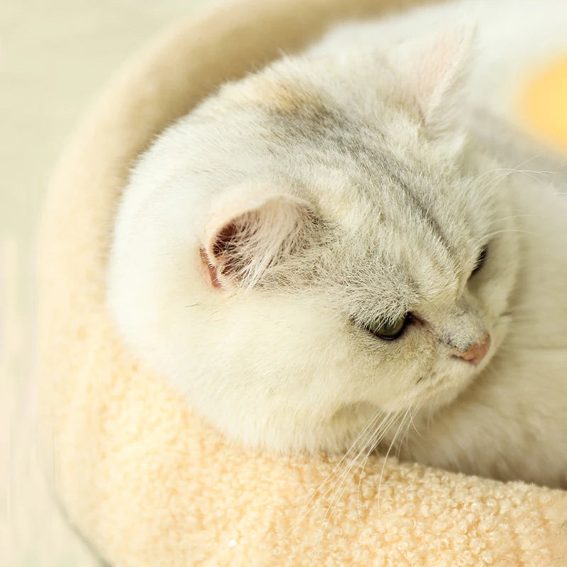 2-in-1 Warm Cat Bed & Sisal Scratching Pad – Cozy & Durable!