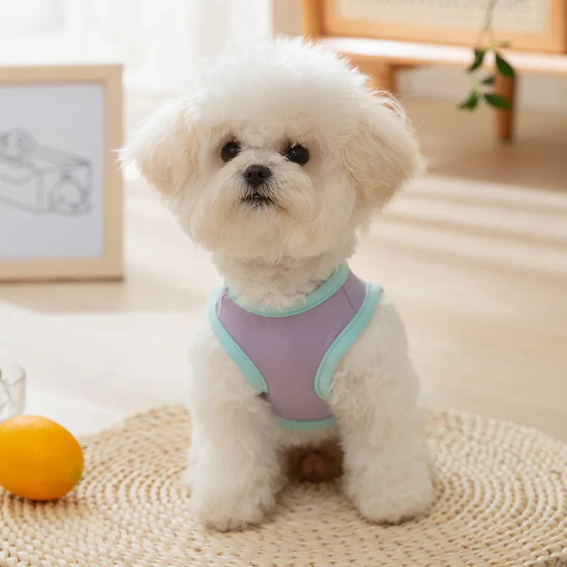 CoolBear Pet Cooling Vest – Lightweight & Breathable