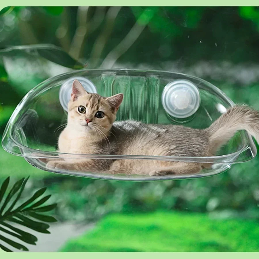 Four Seasons Cat Window Bed & Mushroom Cat