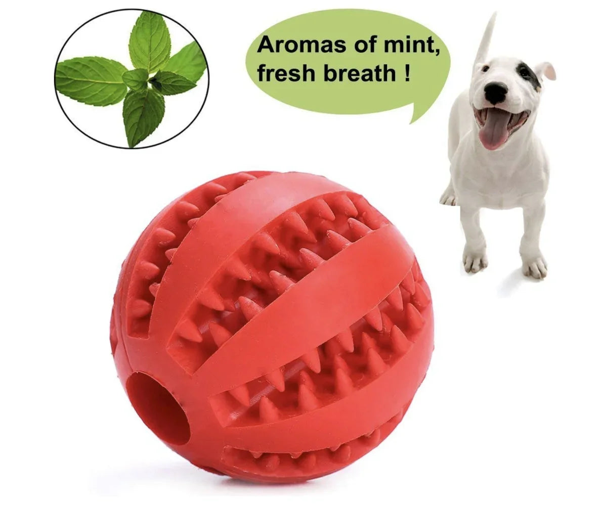 Interactive Chew Ball for Dogs
