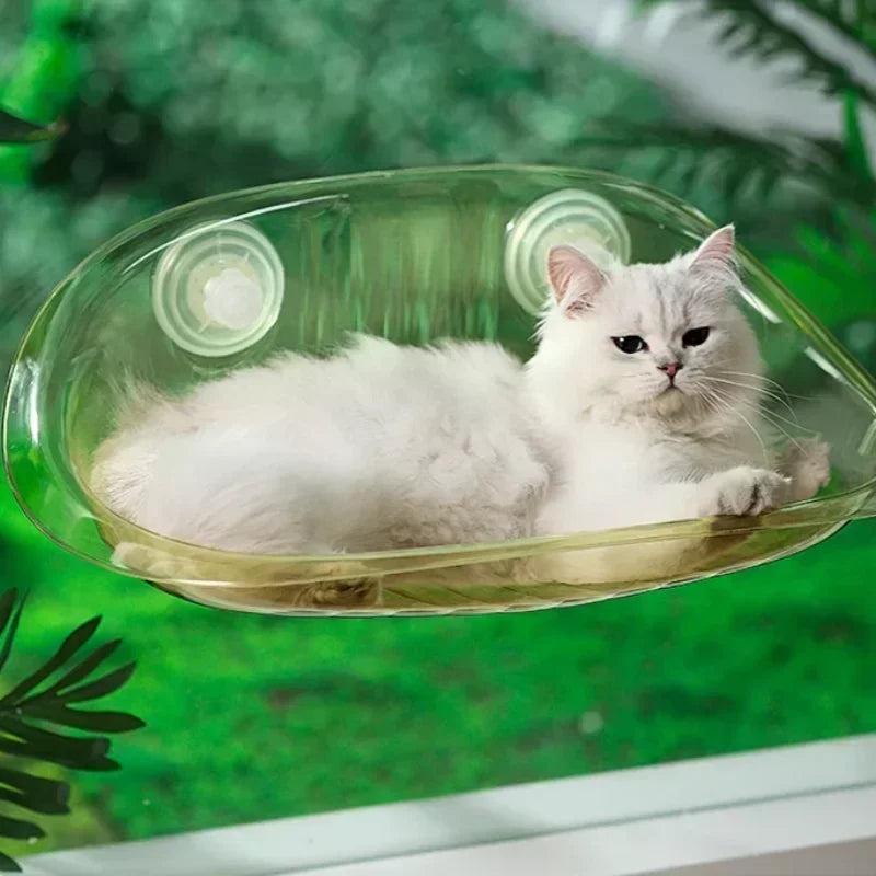 Four Seasons Cat Window Bed & Mushroom Cat