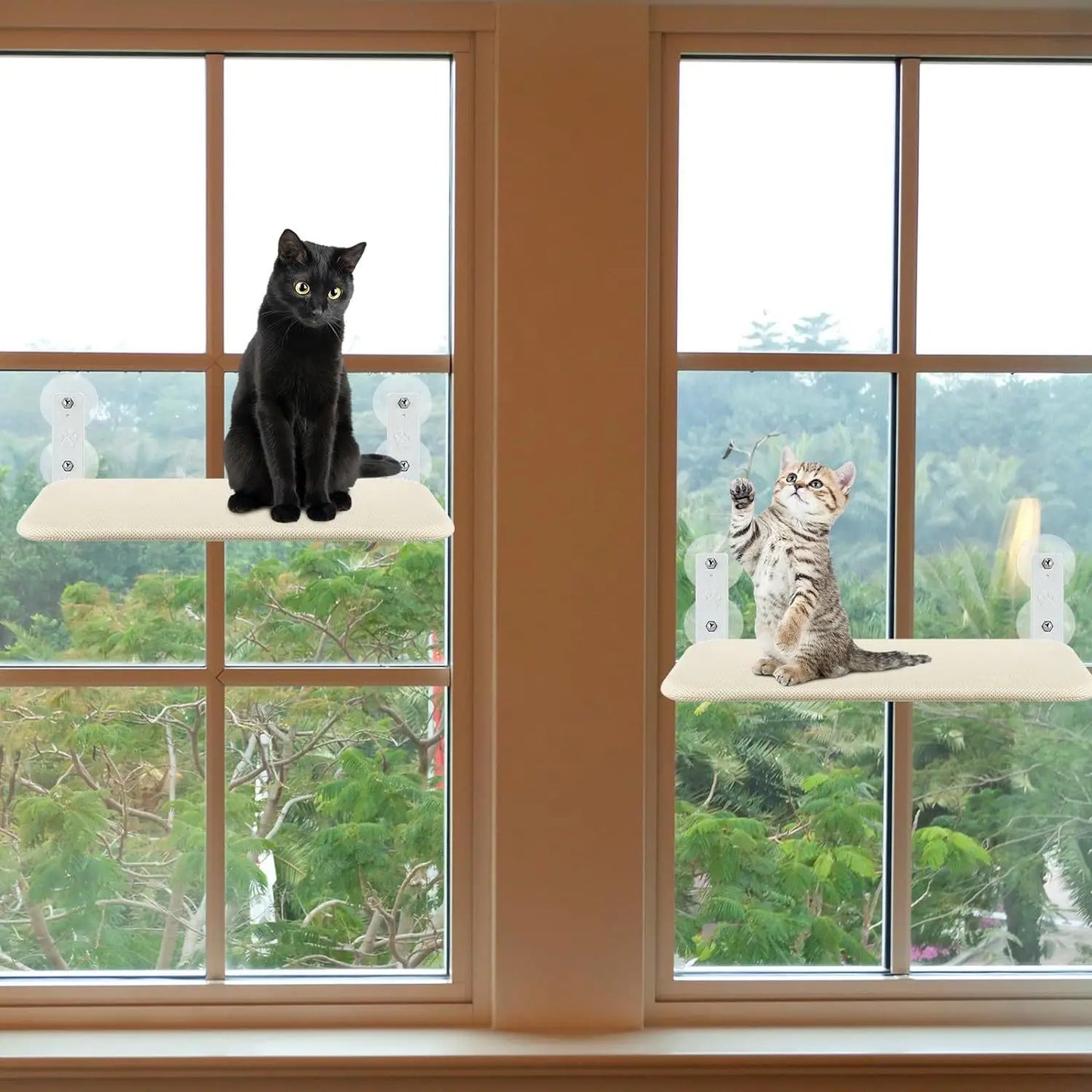 Cat Hammock – Suction Cup Window Bed for Small to Medium Cats