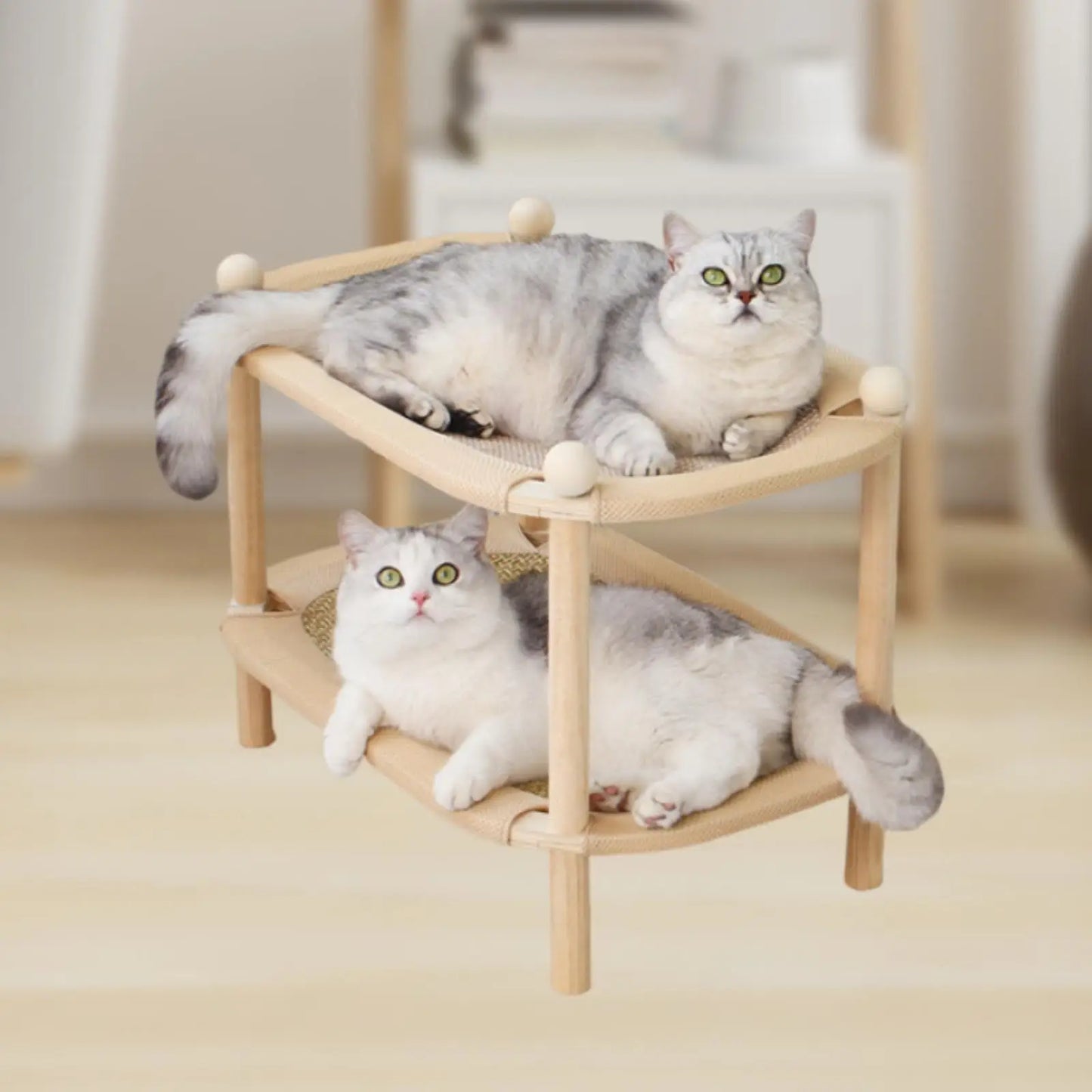 Double-Layer Cat Scratcher Mat – Sofa Bed & Interactive Play Toy