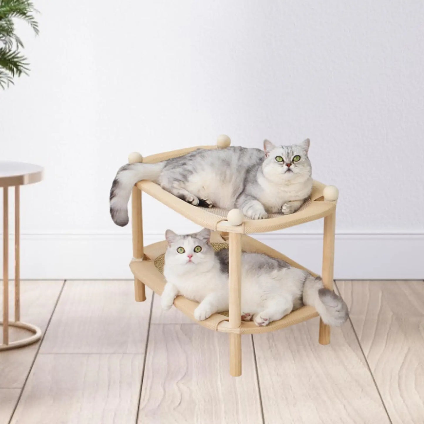Double-Layer Cat Scratcher Mat – Sofa Bed & Interactive Play Toy
