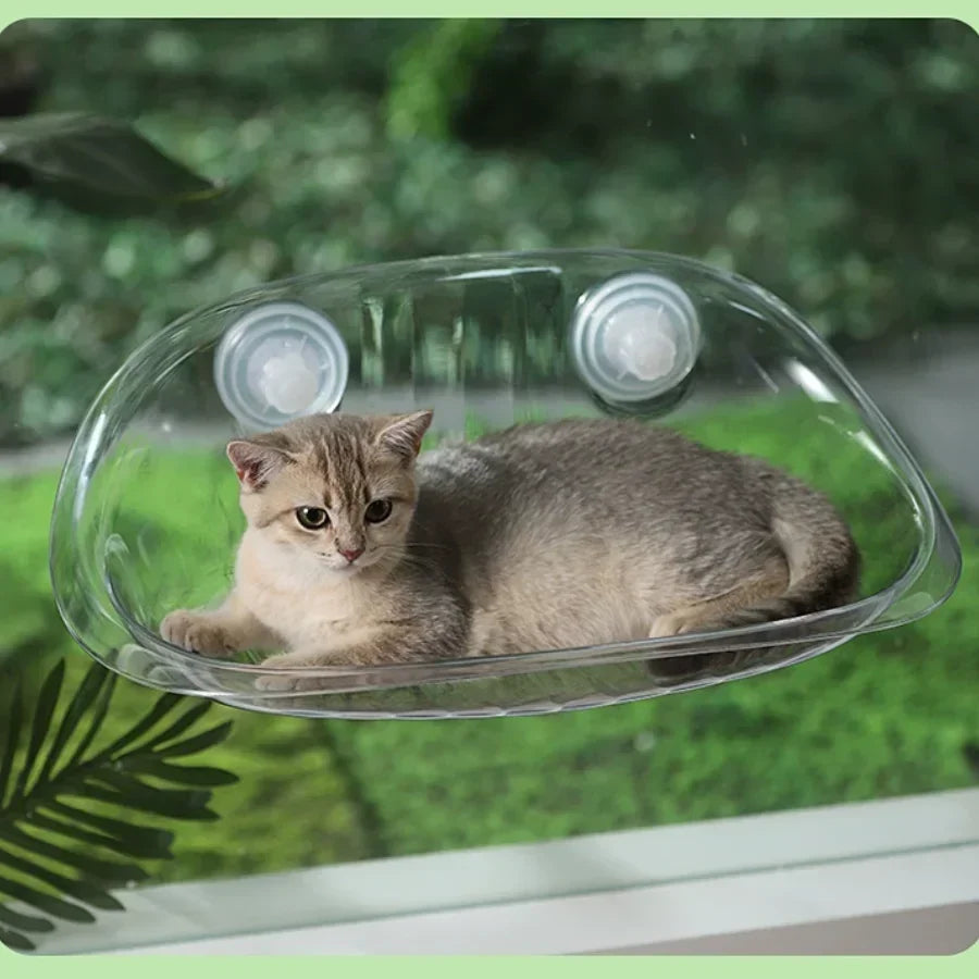 Four Seasons Cat Window Bed & Mushroom Cat