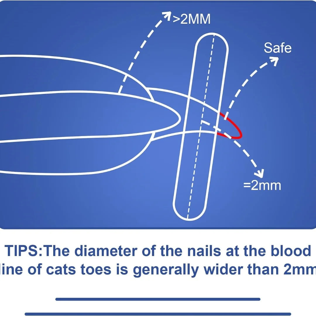 Cat Nail Clippers – Safe, Sharp & Precise Trim