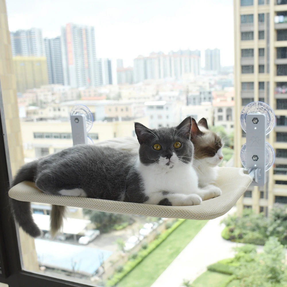 Cat Hammock – Suction Cup Window Bed for Small to Medium Cats