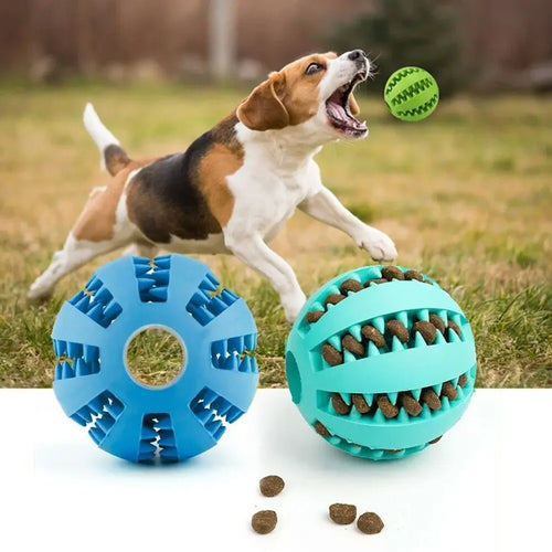 Interactive Chew Ball for Dogs