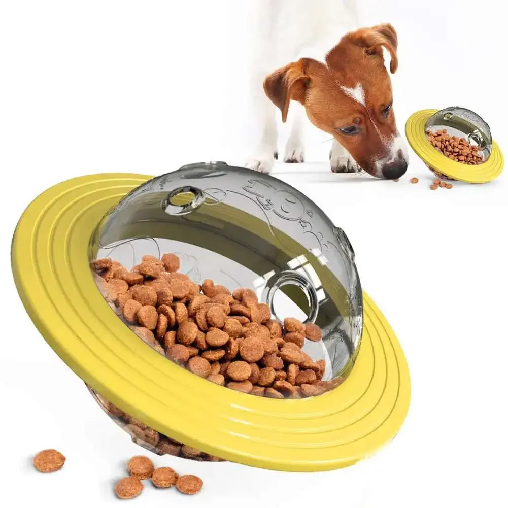 Flying Disc & Slow Feeder Toy