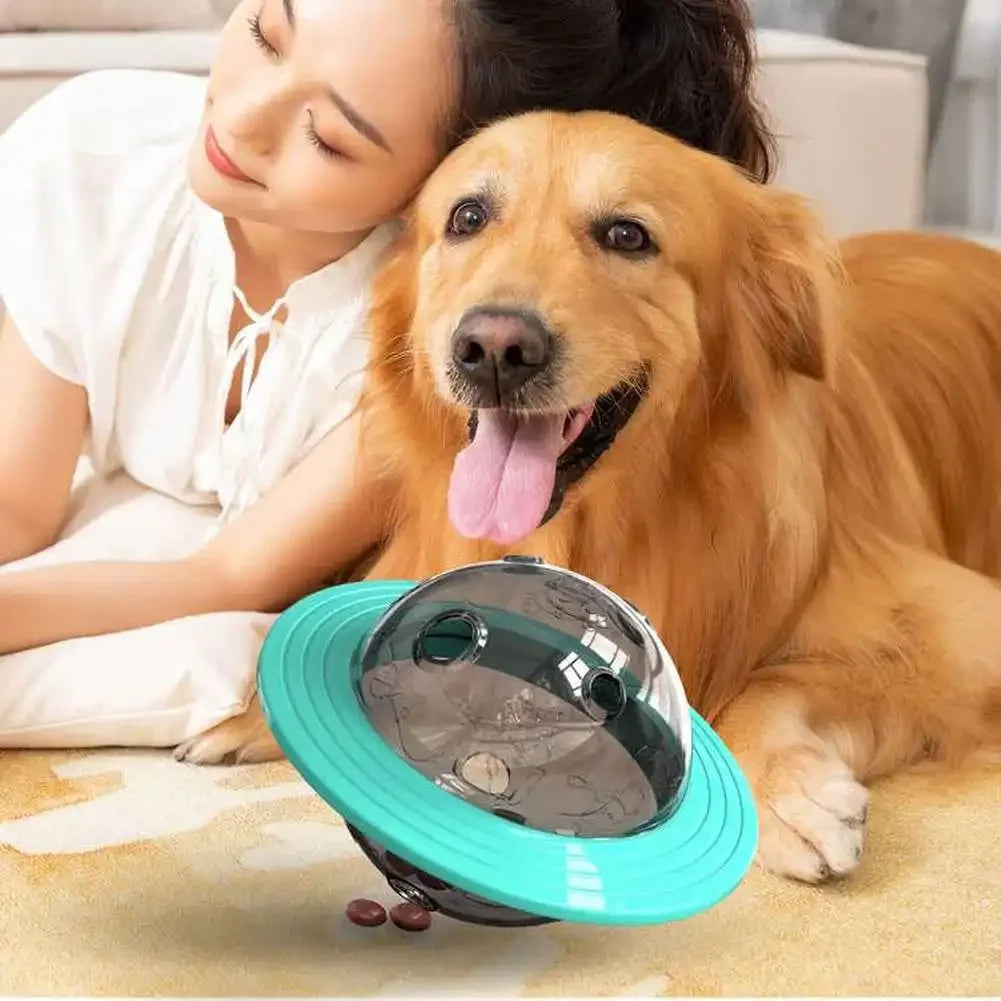 Flying Disc & Slow Feeder Toy
