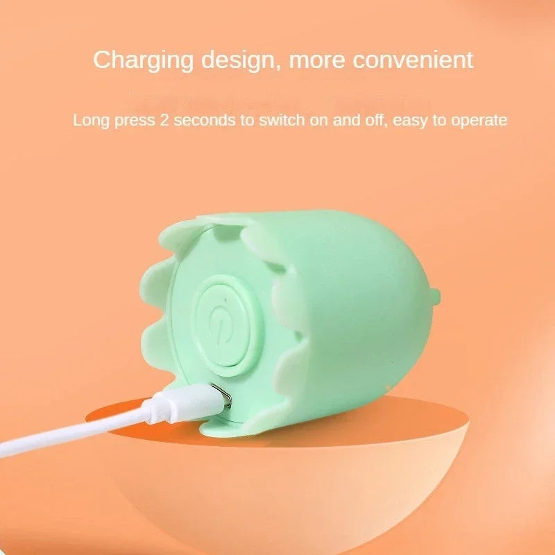 USB Electric Rolling Ball Cat Toy – Interactive Teaser with Mouse Tail