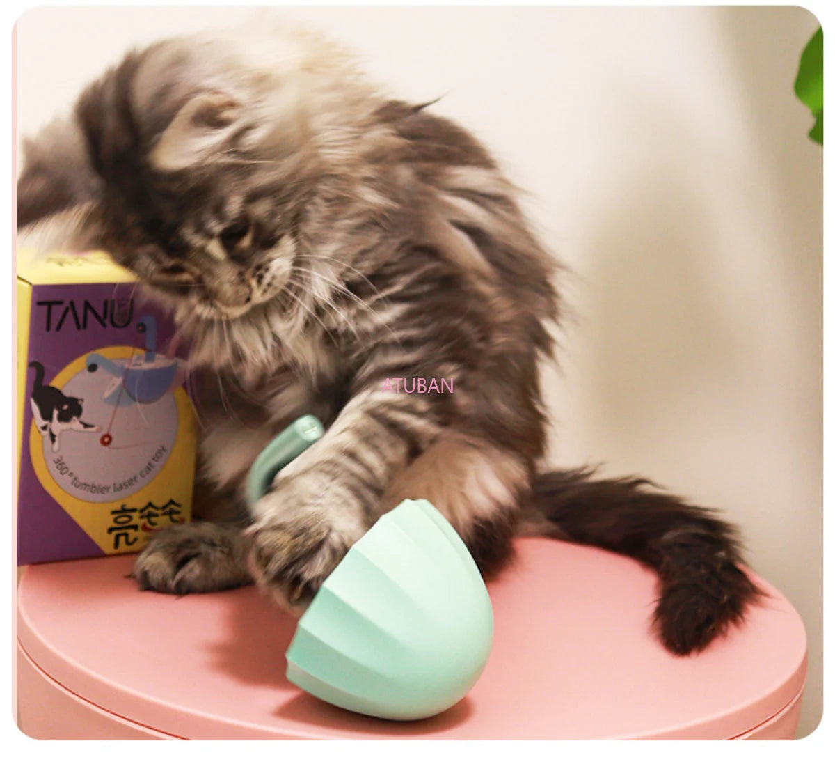 Interactive 360° Cat Laser Toy