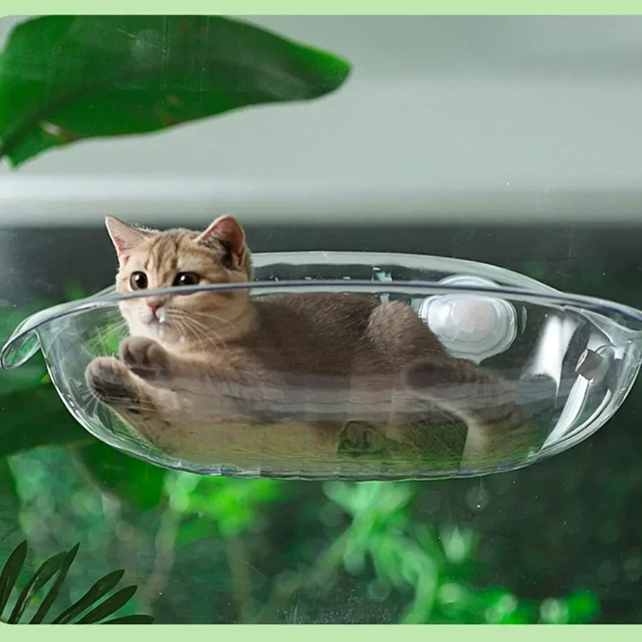 Four Seasons Cat Window Bed & Mushroom Cat