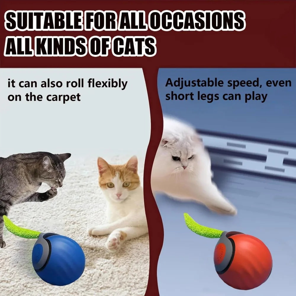 Speedy Tail 2.0 Smart Cat Toy Ball – Two-Speed, Automatic Moving Interactive Toy