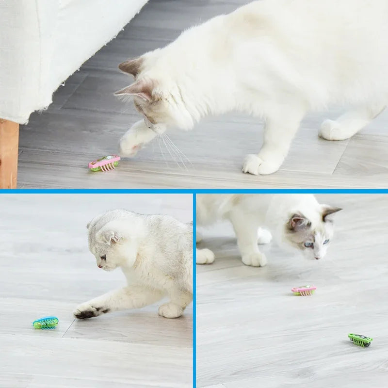 Mini Electric Ladybug Cat Toy
