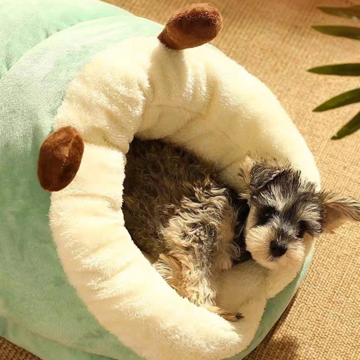 Cozy Pet Kennel Bed – Adorable House for Cats & Small Dogs