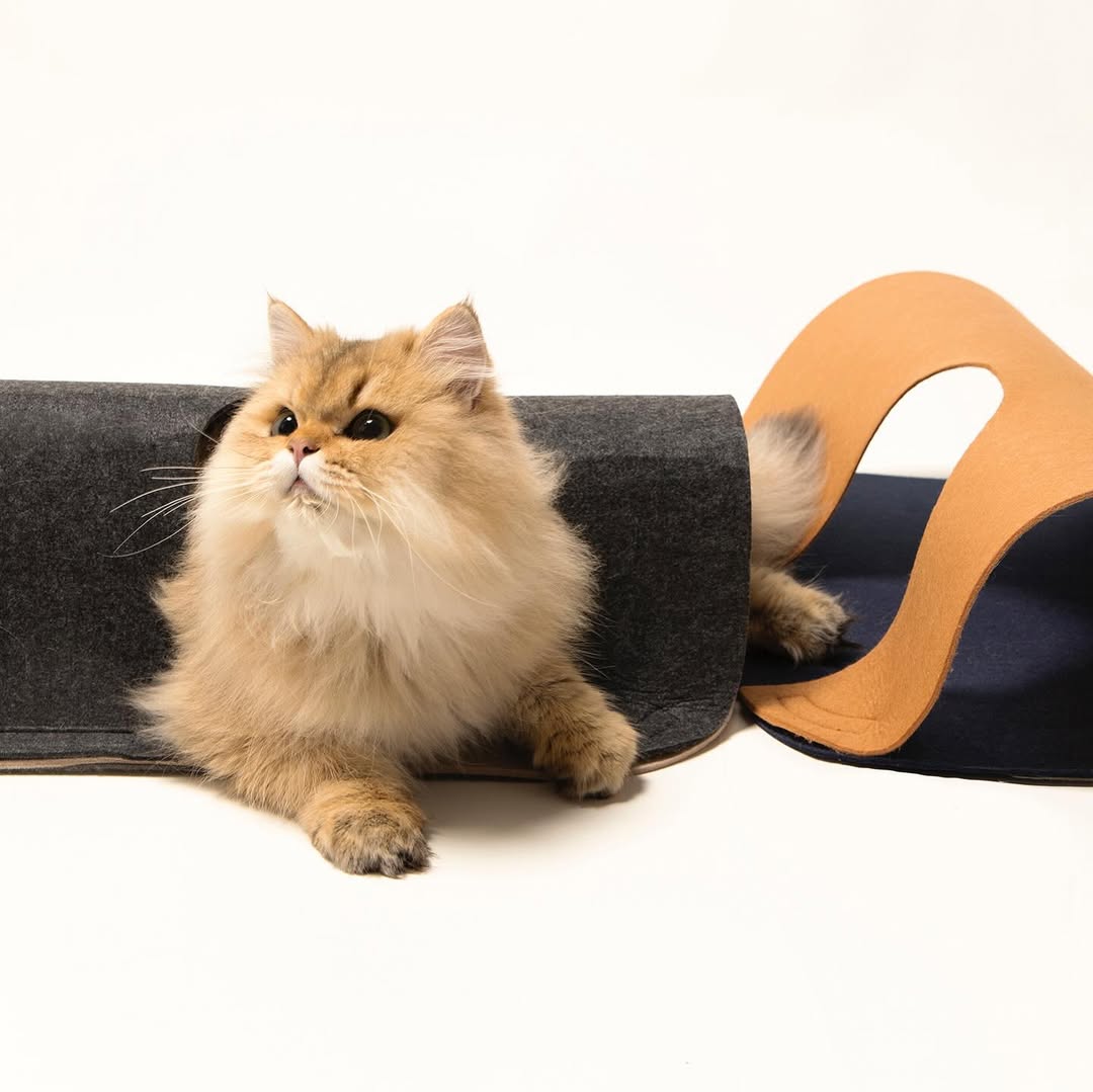 Interactive Hide-and-Seek Cat Tunnel Mat