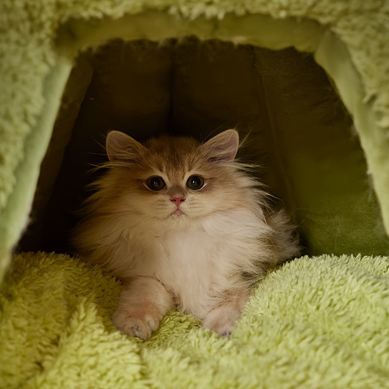 Monster-Shaped Cat & Dog Bed – Semi-Enclosed, Warm & Cozy Design
