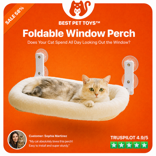 Best Pet Toys™ Foldable Window Perch