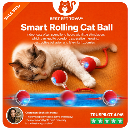 Best Pet Toys™ Smart Rolling Cat Ball