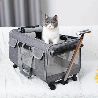 Valise à roulettes extra large pour animaux de compagnie – Transporteur de voyage pliable et détachable 