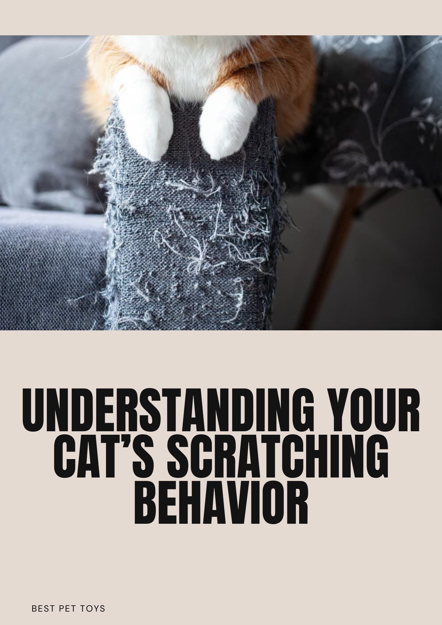 EBOOK: Understanding Your Cat's Scartching Behavior
