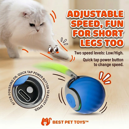 Best Pet Toys™ Smart Toy Ball