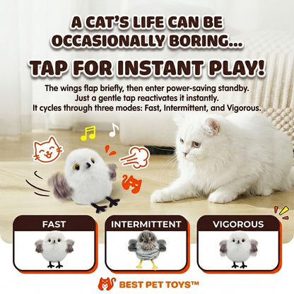 Best Pet Toys™ Cute Little Birds
