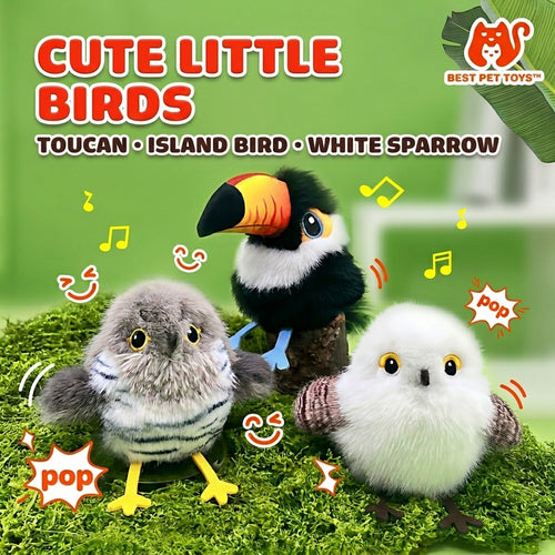 Best Pet Toys™ Cute Little Birds