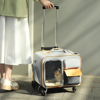 Valise à roulettes portable pour animaux de compagnie – Transporteur à roulettes pour chats et petits chiens