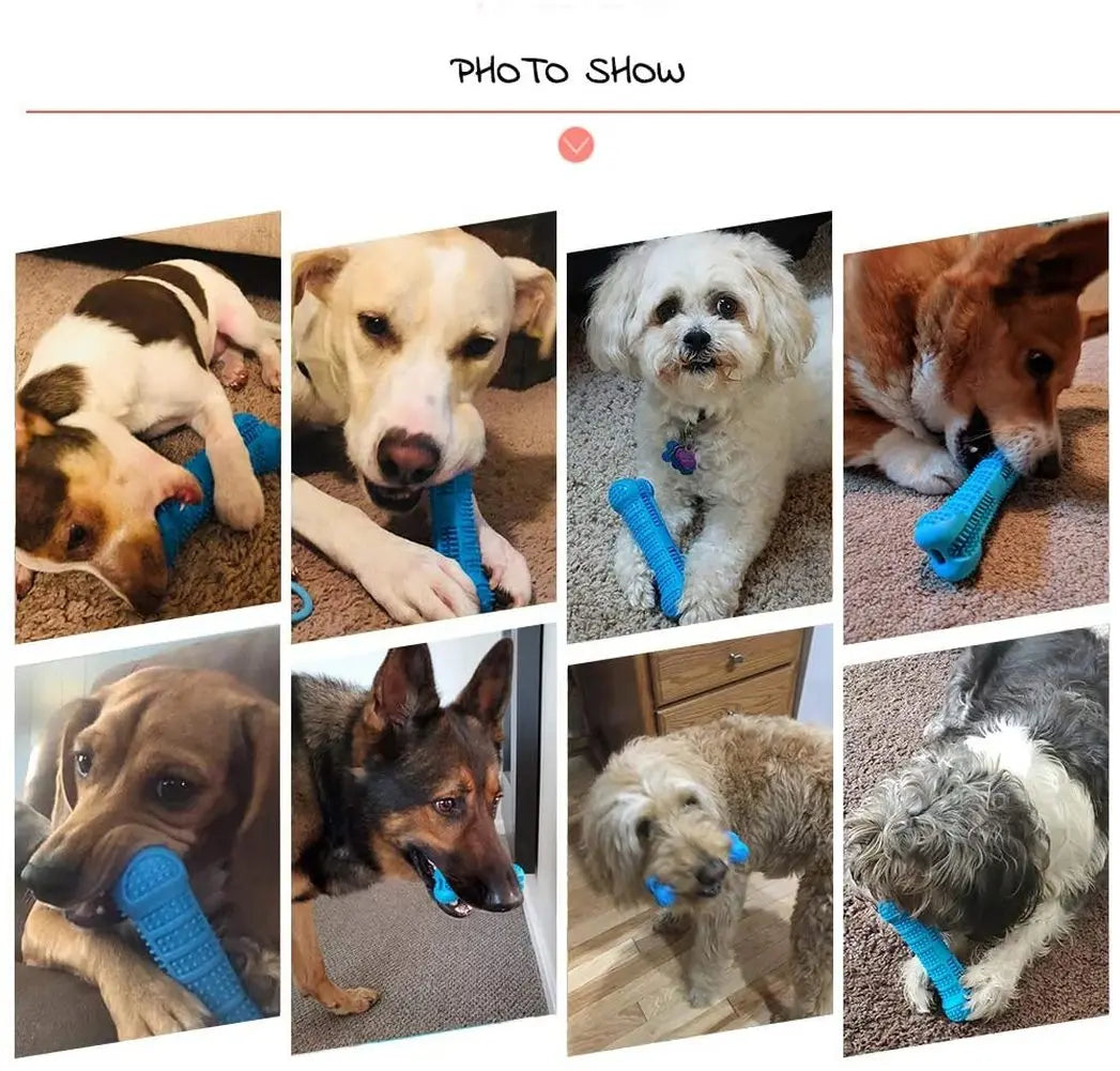 Dog Chew Toys – Dental Care & Fun