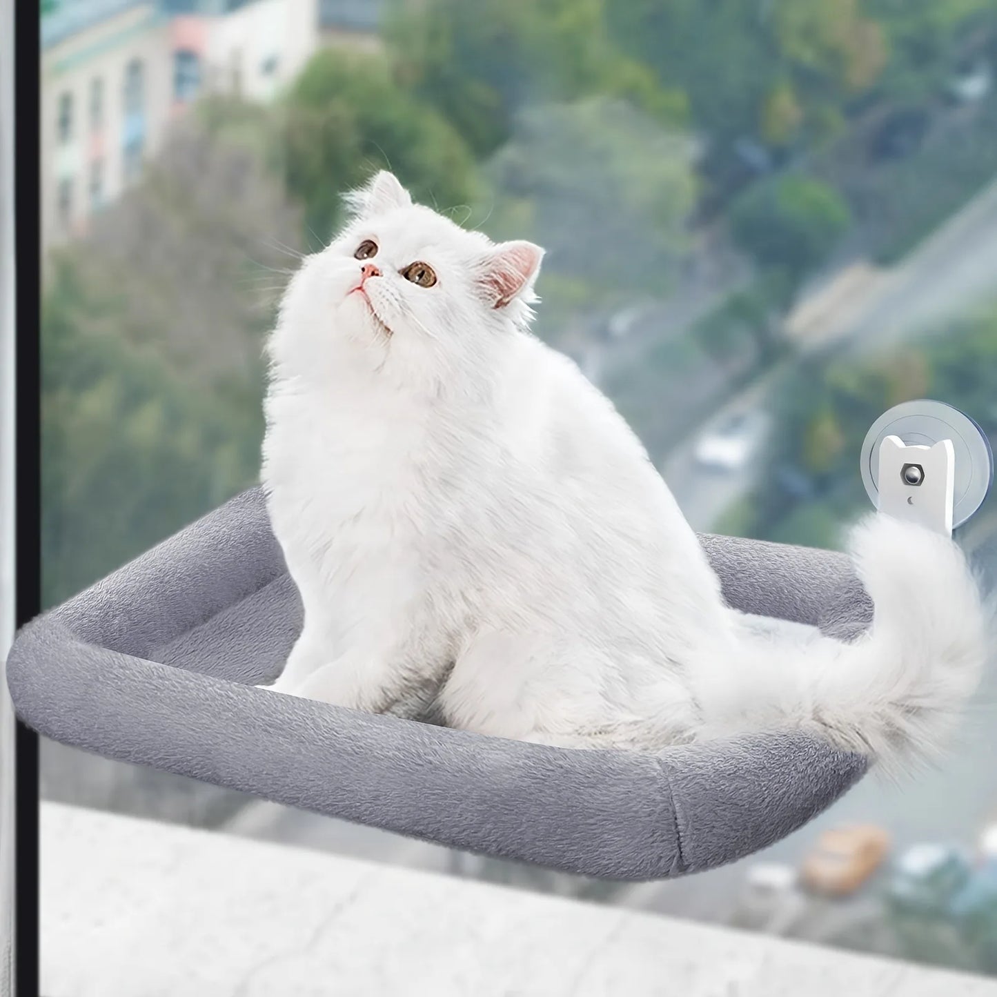 Sunny Window Cat Hammock – Perfect for Curious Kittens!