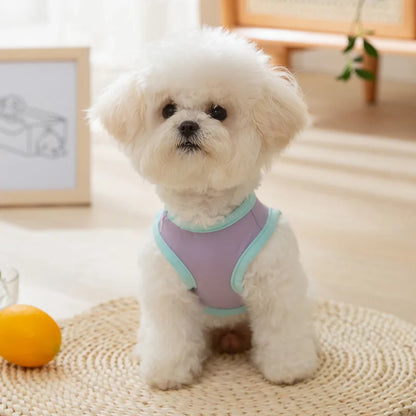 CoolBear Pet Cooling Vest – Lightweight & Breathable