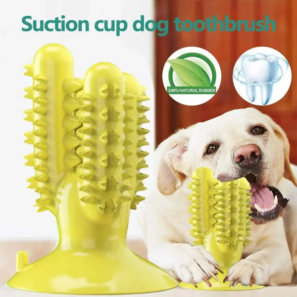 Interactive Dog Toothbrush Toy Best Pet Toys