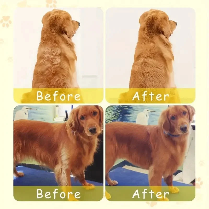 3-in-1 Steamy Pet Brush – Groom, Detangle & Soothe with Steam
