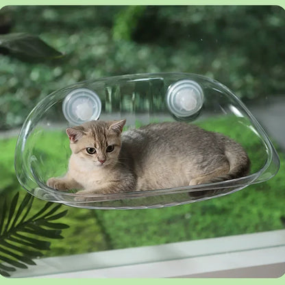 Four Seasons Cat Window Bed & Mushroom Cat