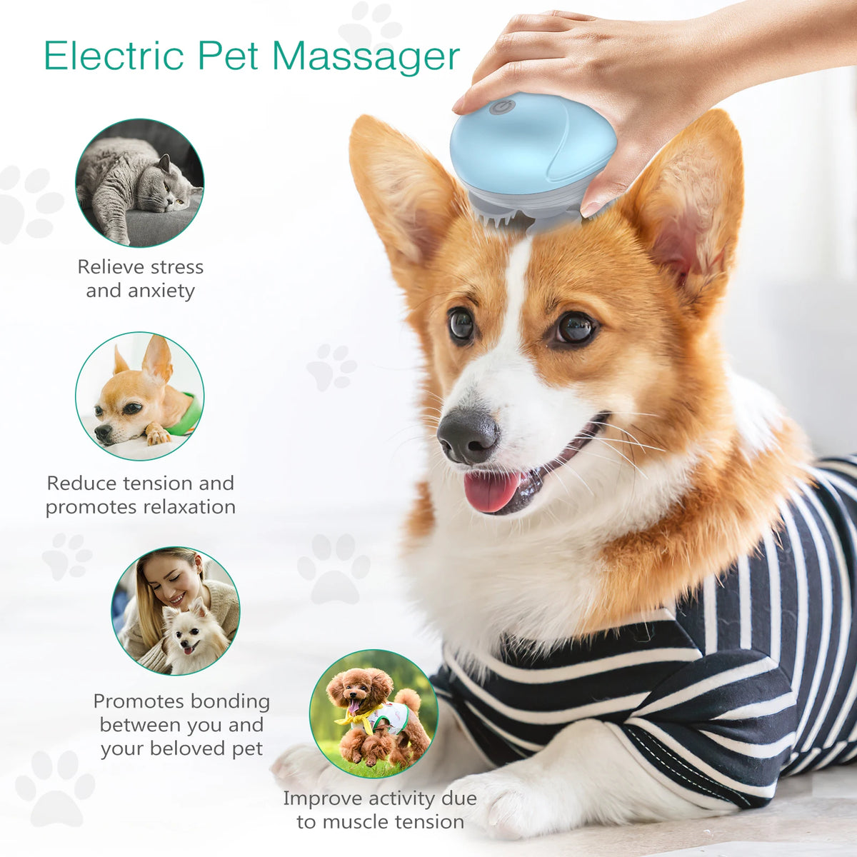 ORIA Elektrisches Katzenmassagegerät – Handgerät zur Entspannung und für Haarwachstum 