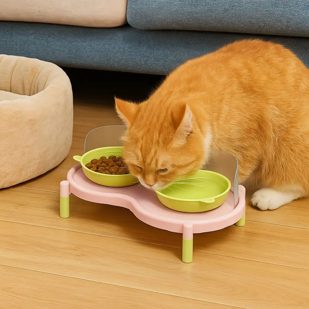 Anti-Slip Ceramic Double Cat Bowls – Elevated Stable Feeder