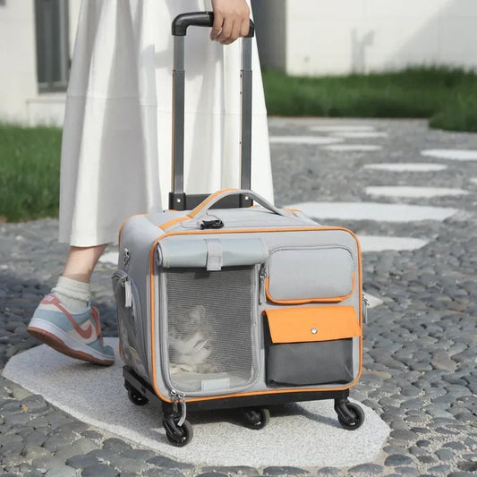 Portable Pet Backpack & Stroller – Trolley Case for Cats & Small Dogs