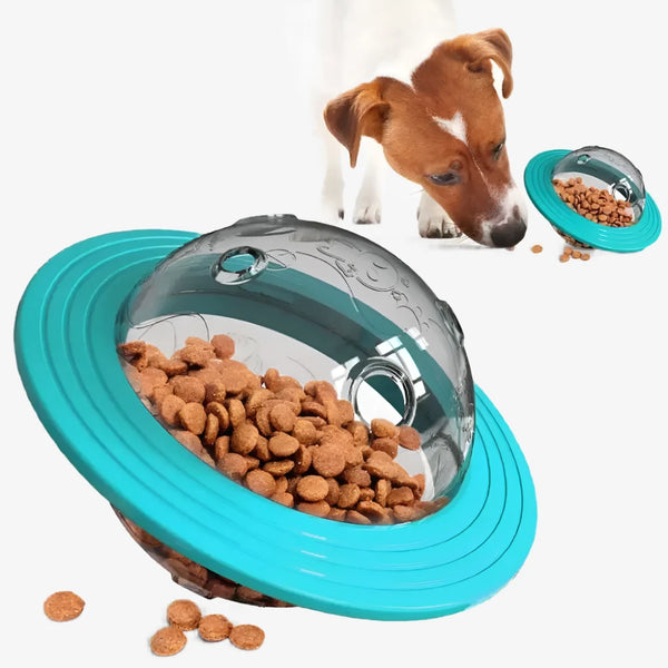 Flying Disc & Slow Feeder Toy