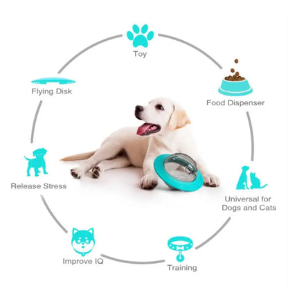 Flying Disc & Slow Feeder Toy
