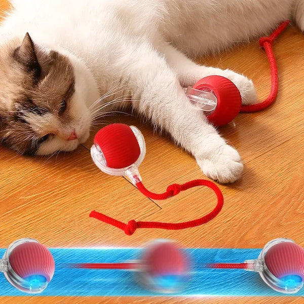 Smart Rolling Cat Ball Toy