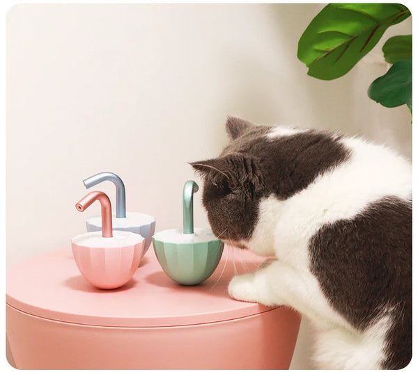 Interactive 360° Cat Laser Toy