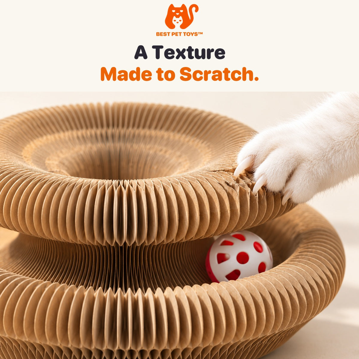 Close-up of the corrugated cardboard scratching texture and cat paw