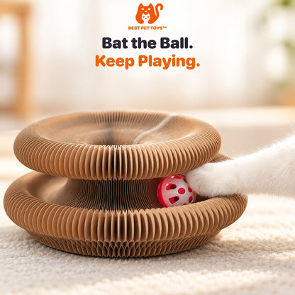 Cat paw batting the red ball in the accordion toy track