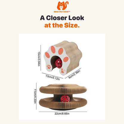 Folded and expanded size guide for the accordion scratcher