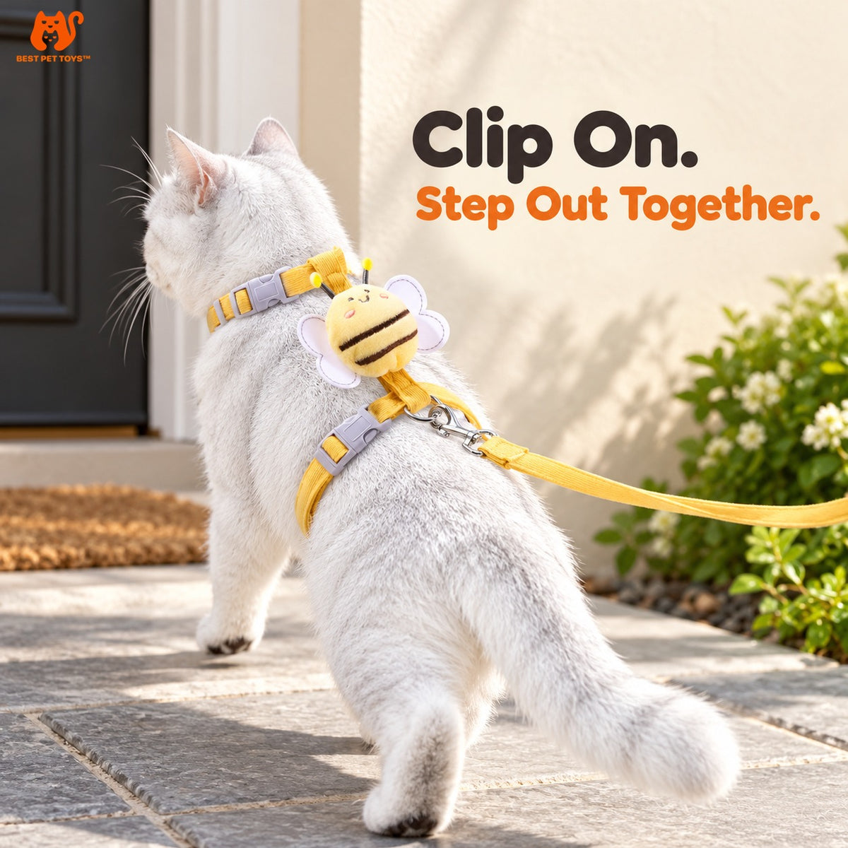 Matching leash and metal clip for bee cat harness